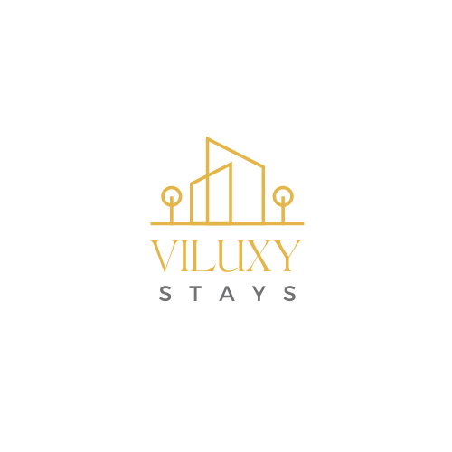 Viluxy Logo Design 1